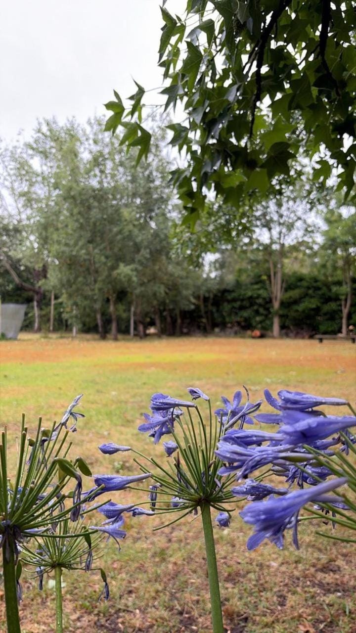Campo Los Teritos Villa in Buenos Aires Province