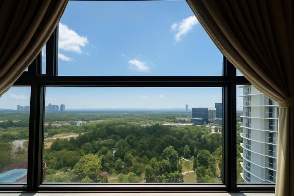 View (from property/room)