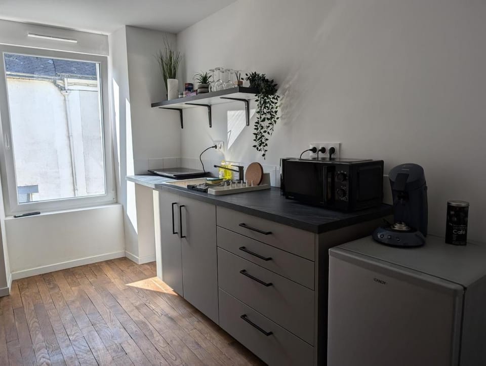 Charmant appartement en plein centre ville Apartment in Brittany