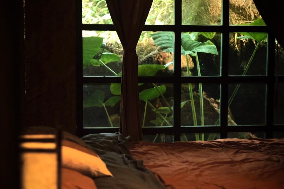 Bedroom, Garden view