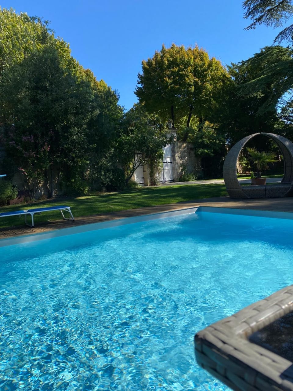 Garden, Garden view, Pool view, Swimming pool, Swimming pool, sunbed