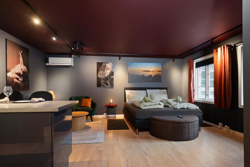 Premium House Øvre Langgate 27 Apartment in Viken, Norway