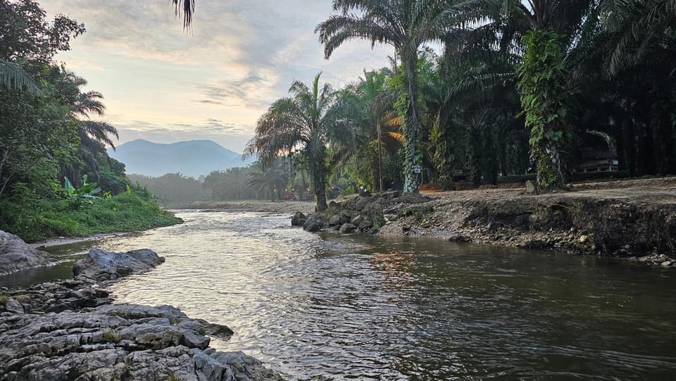 Fishing, River view
