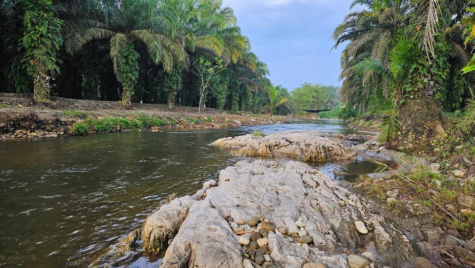 River view
