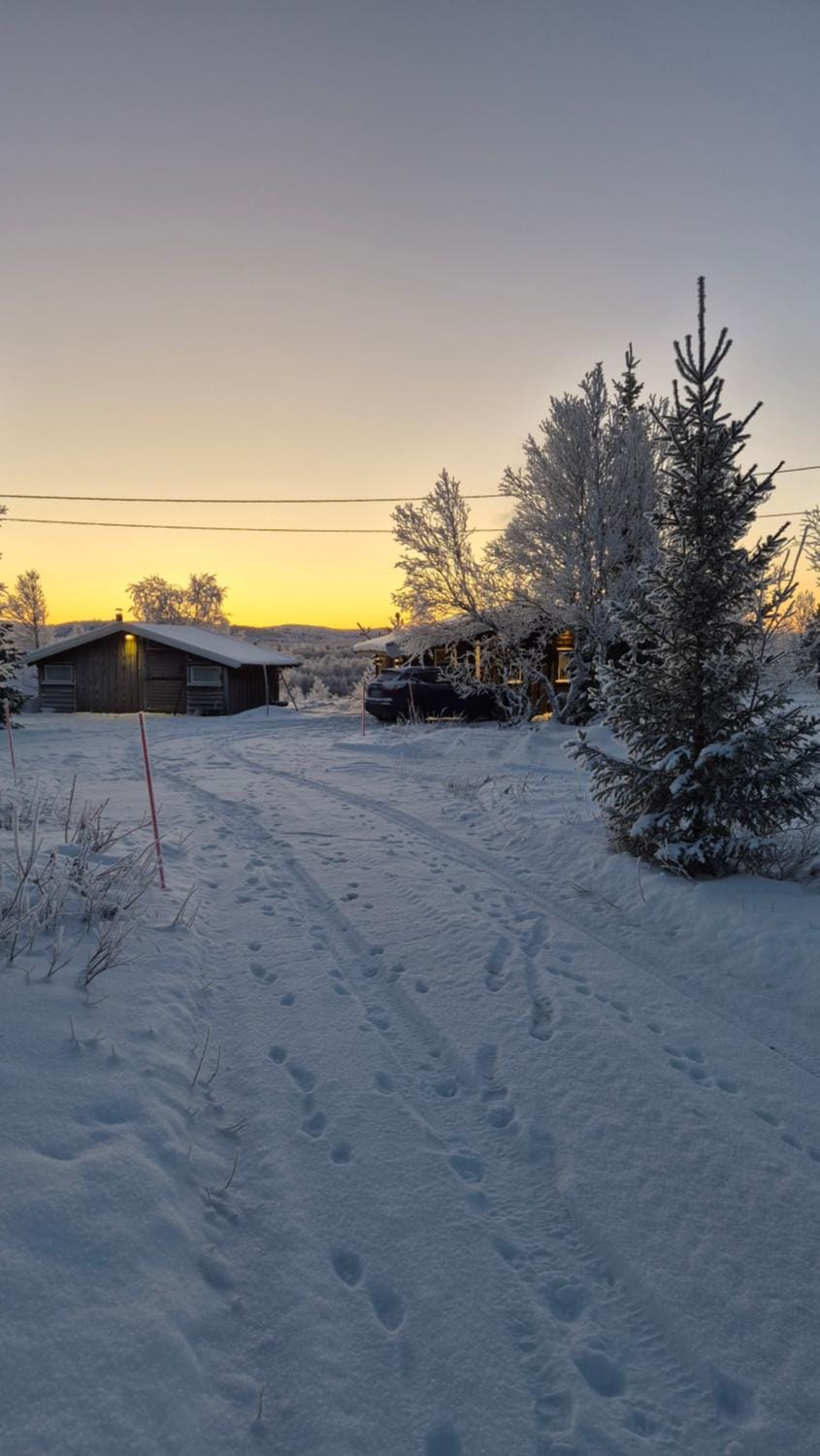 Property building, Winter