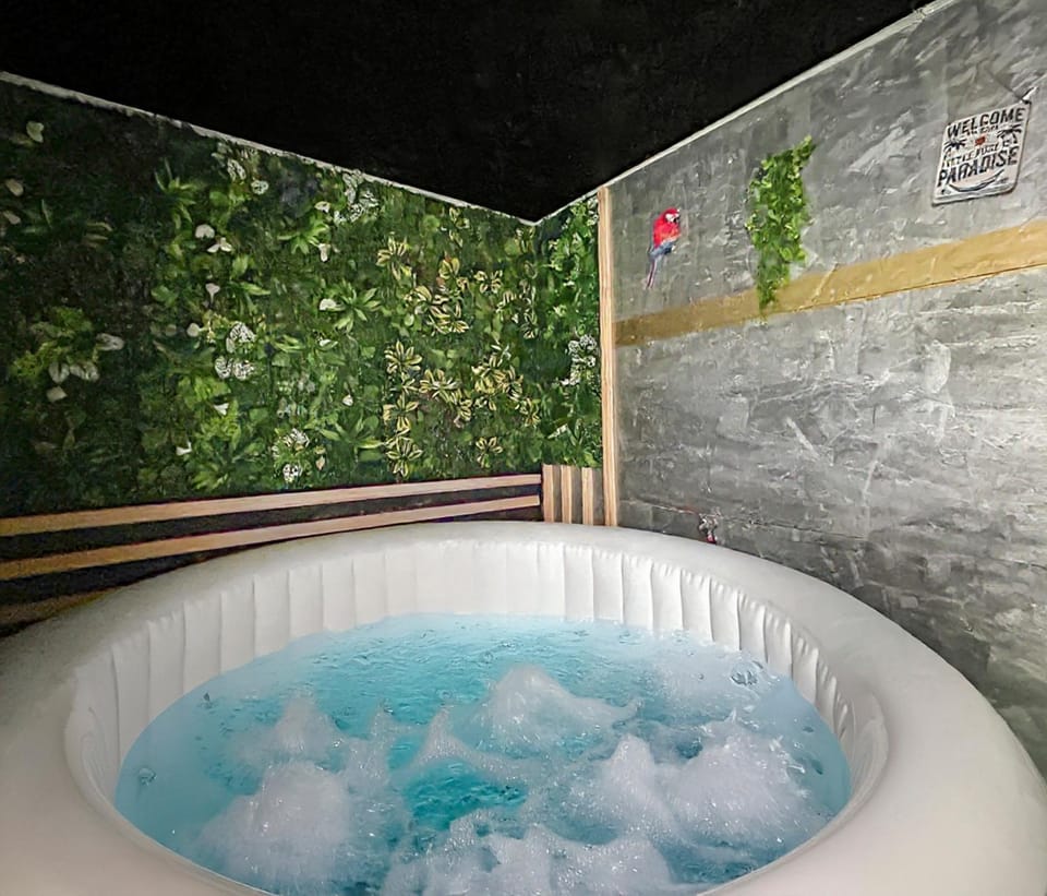 T2 rénové avec terrasse, spa et charme central Apartment in Limoges