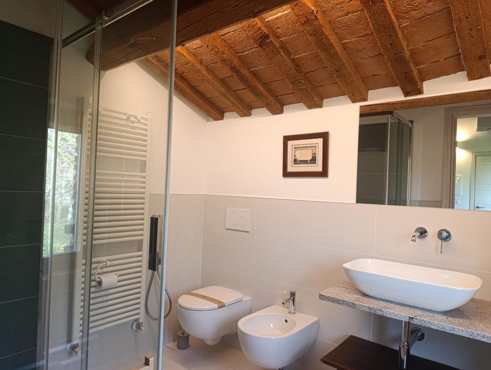 Shower, Toilet, Bathroom, bidet, towels