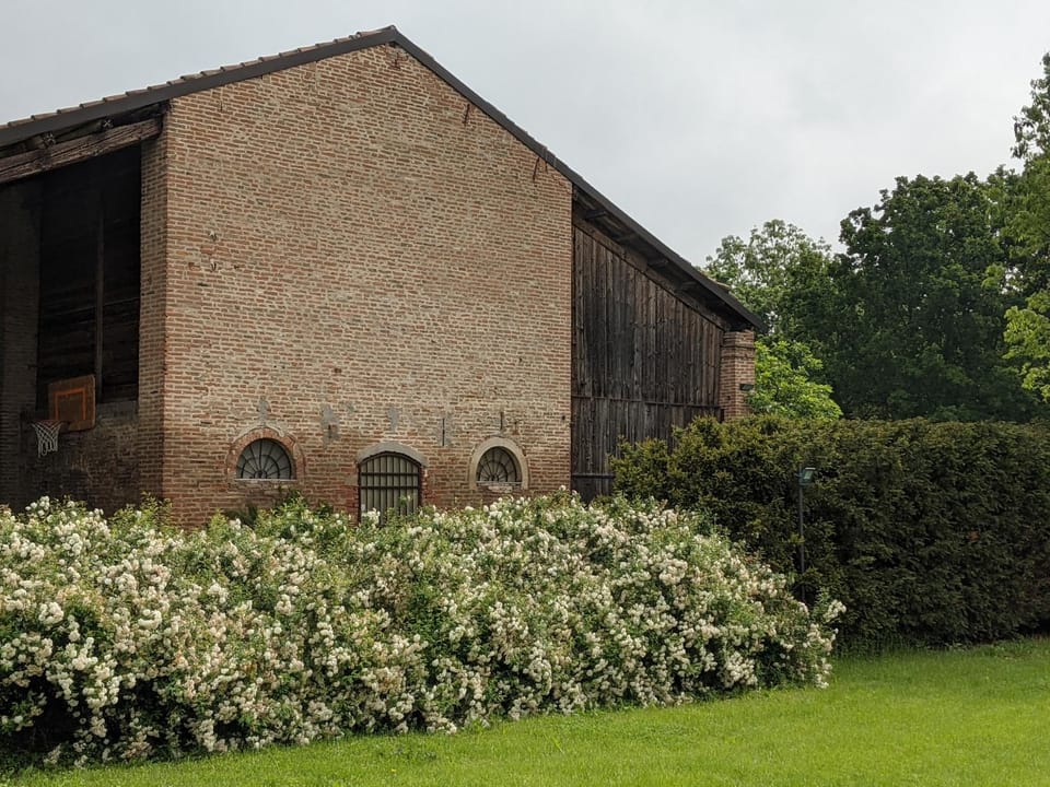 Property building, Spring, Day, Garden, Garden view