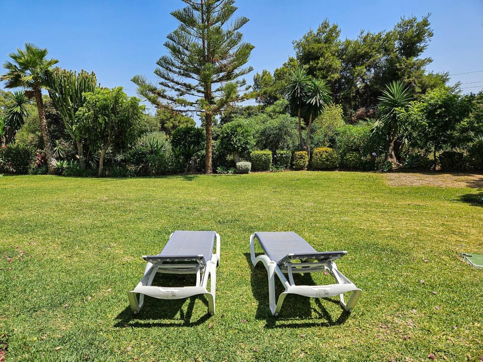 Patio, Garden, Garden view