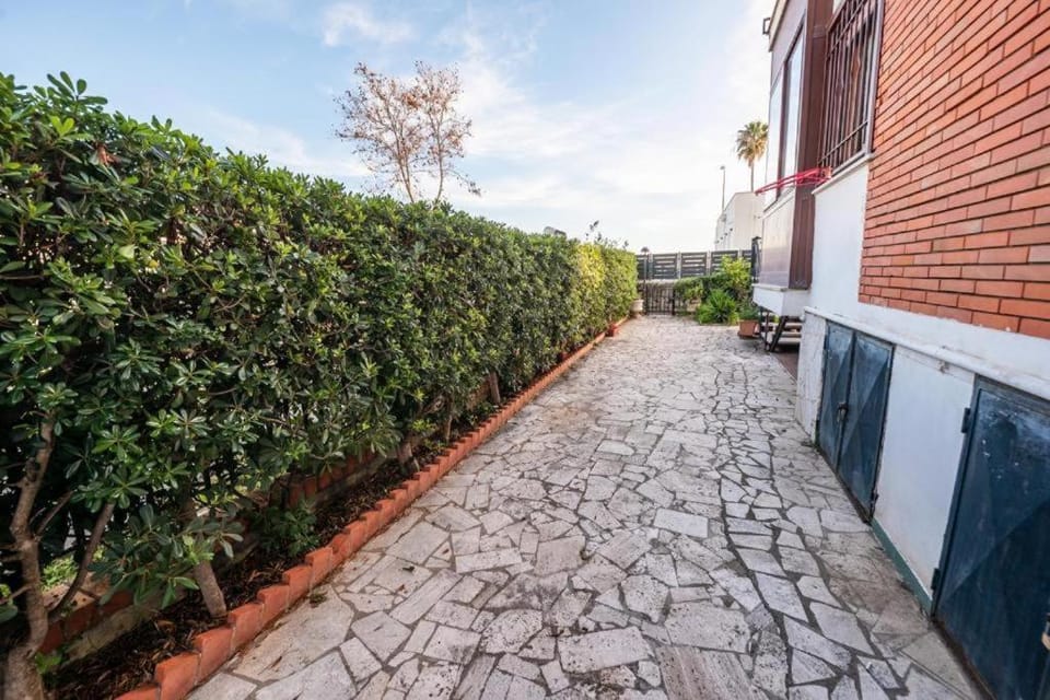Property building, Garden, Garden, Garden view