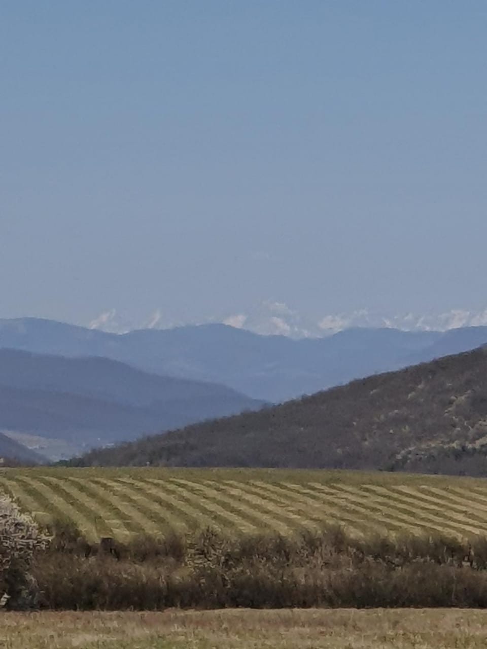 Natural landscape