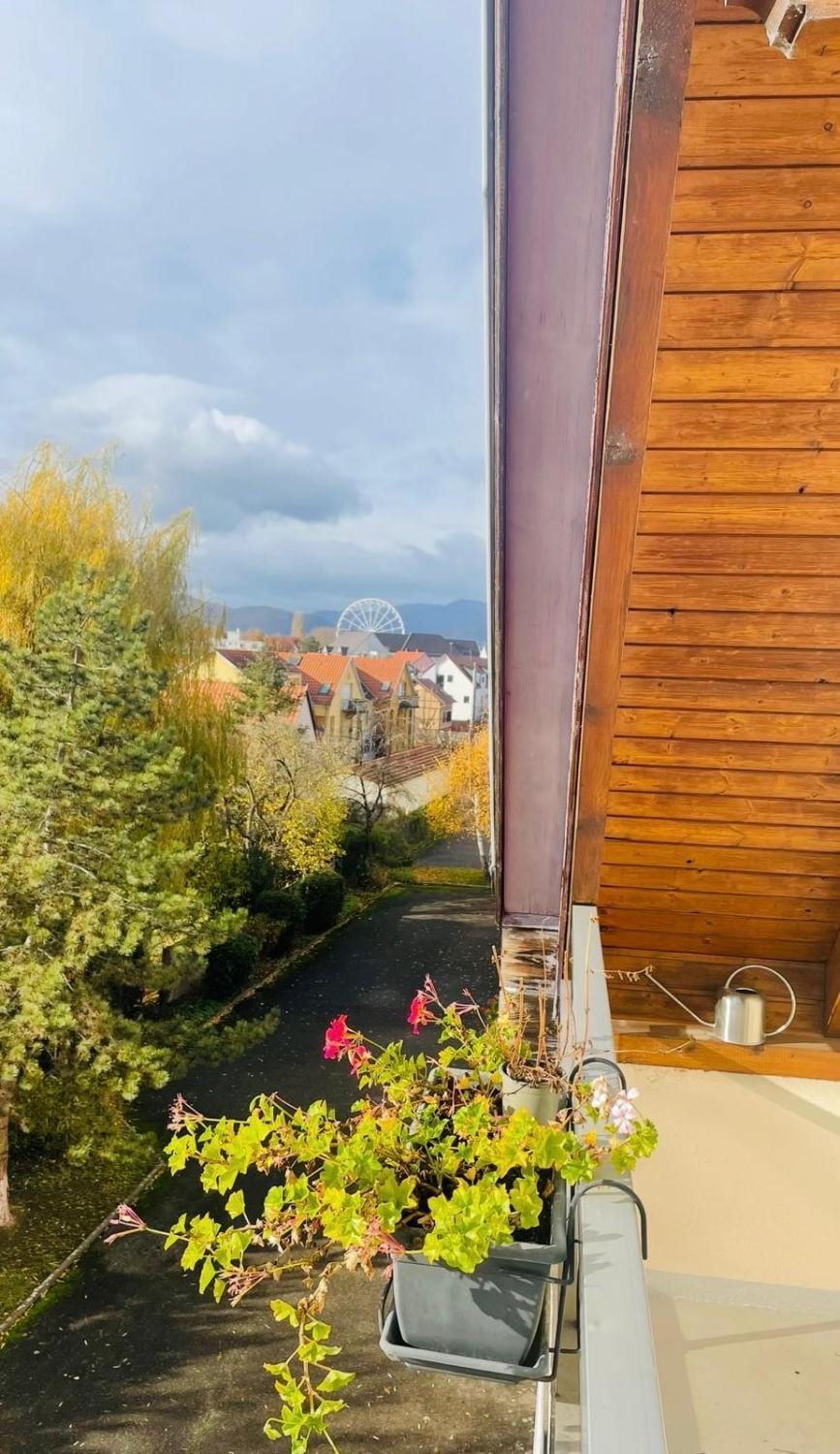 Grillen's Garden Apartment in Colmar