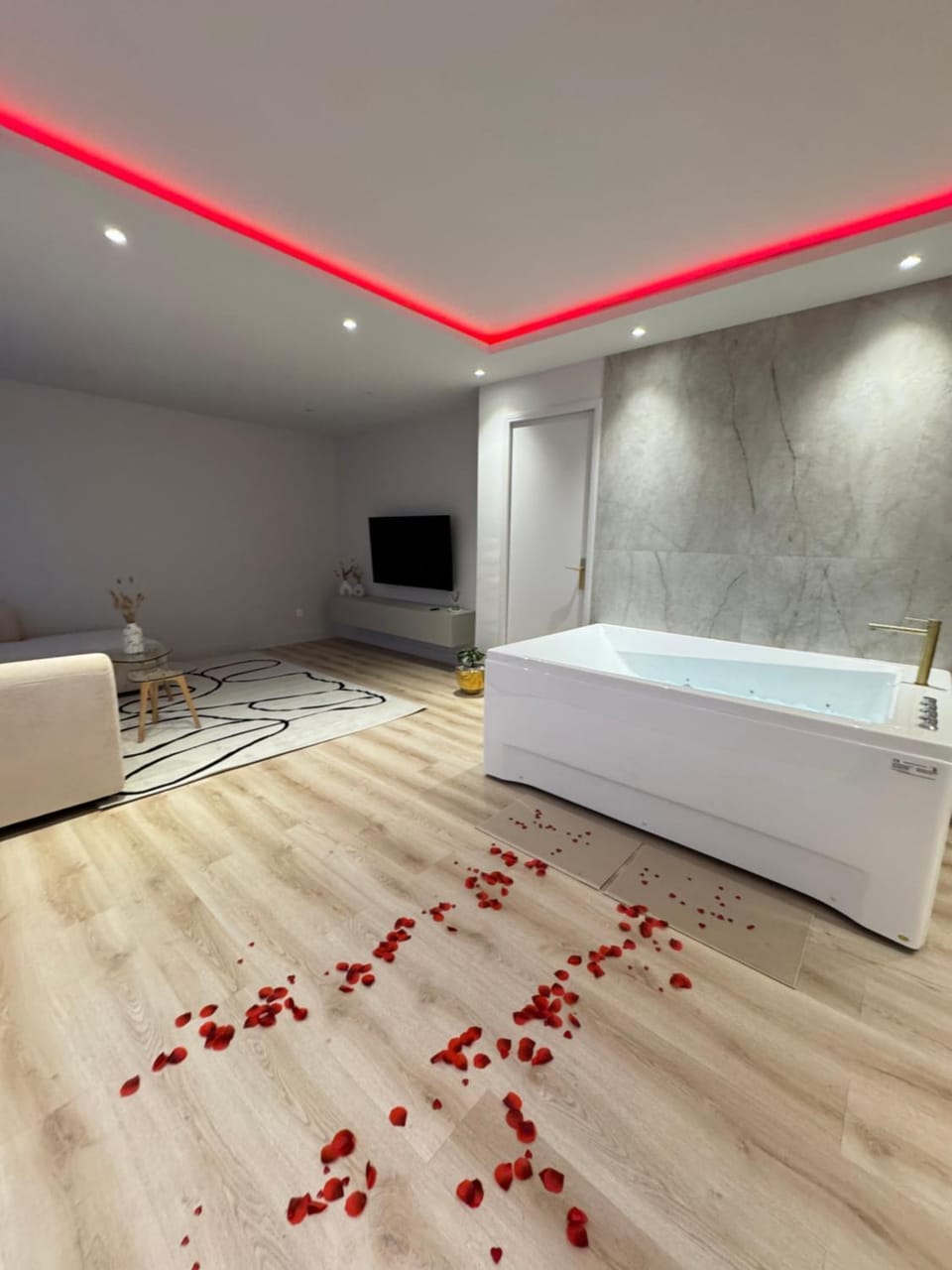 Bathroom, TV and multimedia, Photo of the whole room, Bath