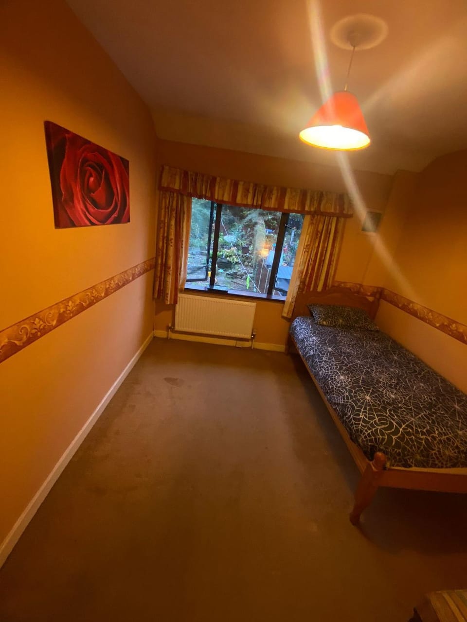 Mindful gentle soul with garden view Vacation rental in Waterford City