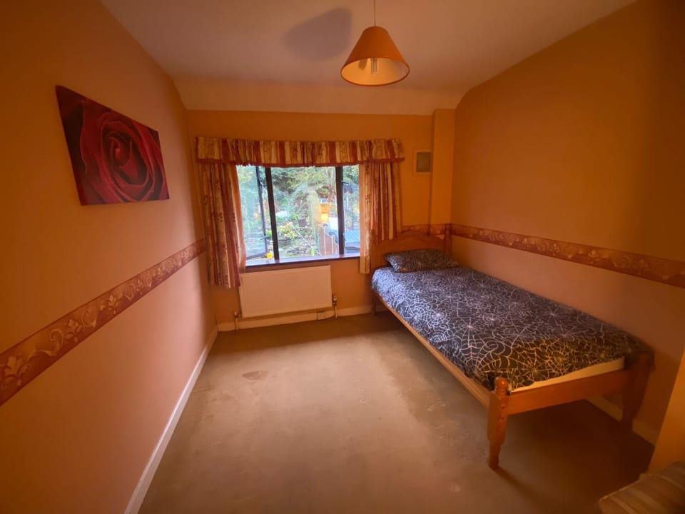 Mindful gentle soul with garden view Vacation rental in Waterford City