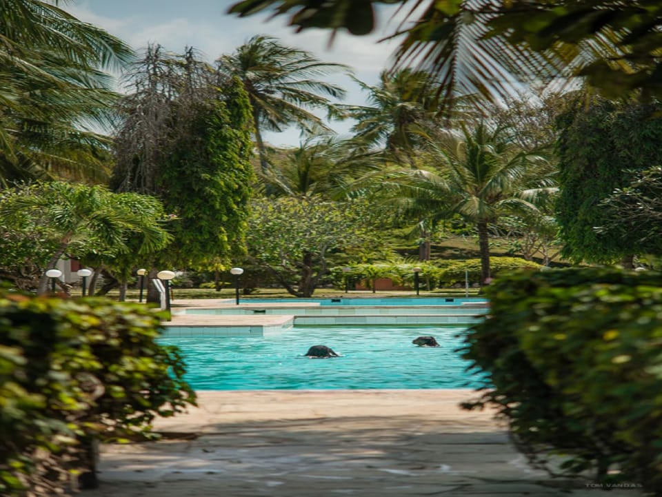 Swimming pool
