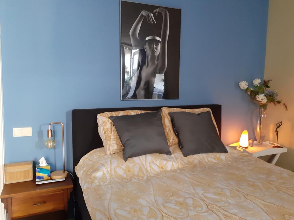 verzorgde kamer in monumentenpand Bed and Breakfast in Arnhem