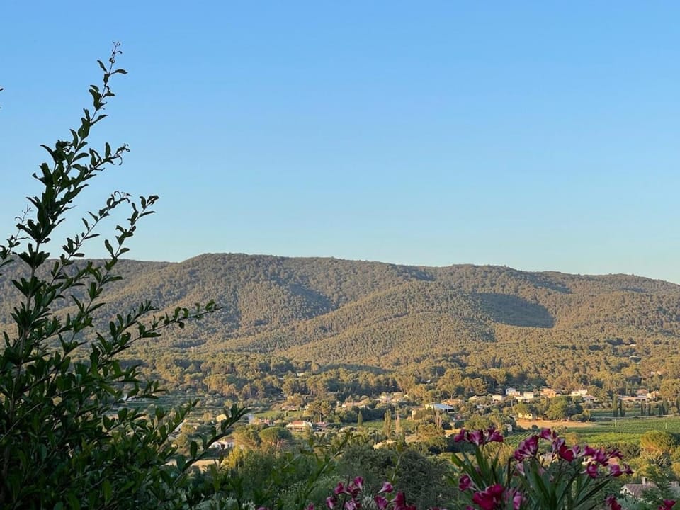 Nouveauté Villa pour 10 Personnes avec Piscine, Pétanque au Coeur des Oliviers de Provence Villa in Le Beausset