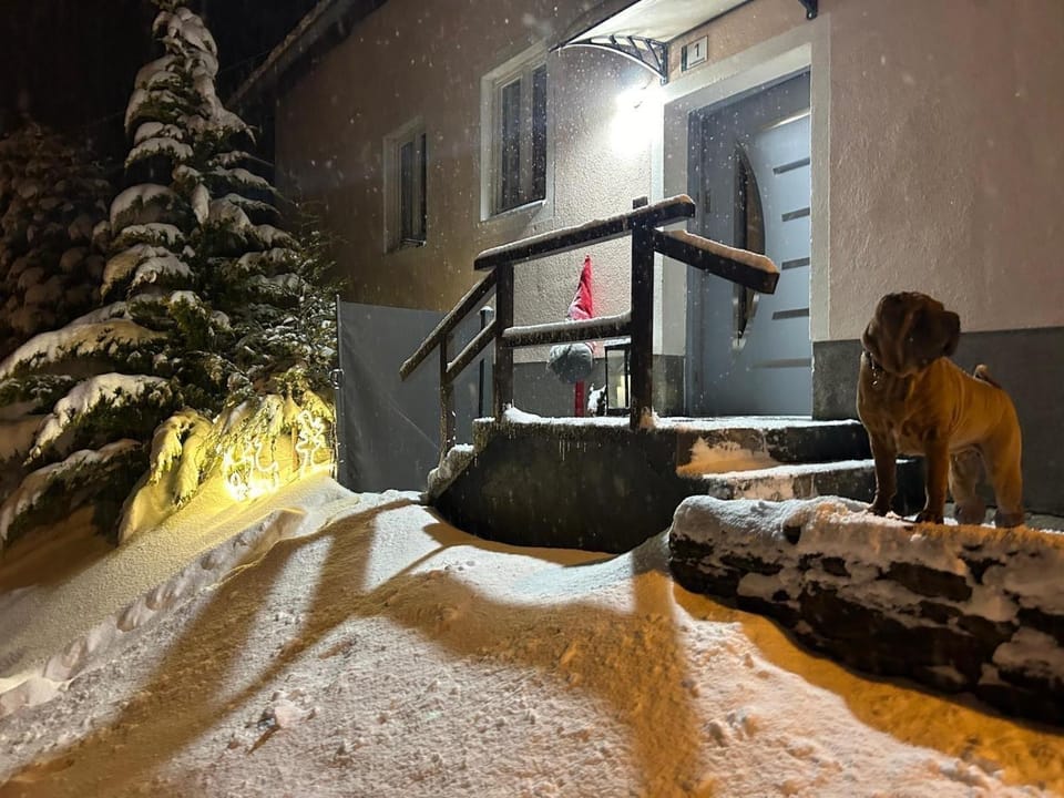 Property building, Night, Winter