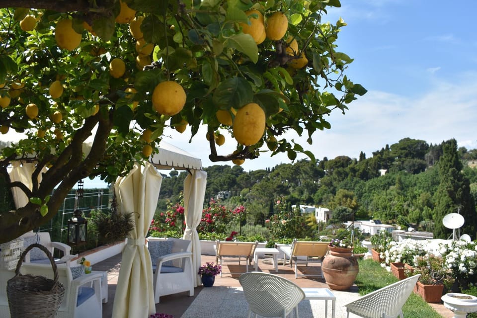 B&B Villa Cristina Bed and Breakfast in Anacapri