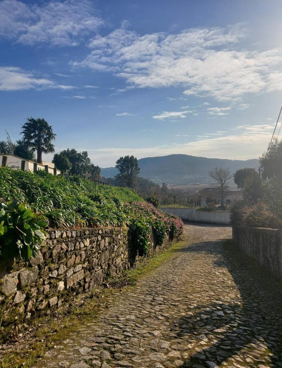 Day, Natural landscape, Mountain view