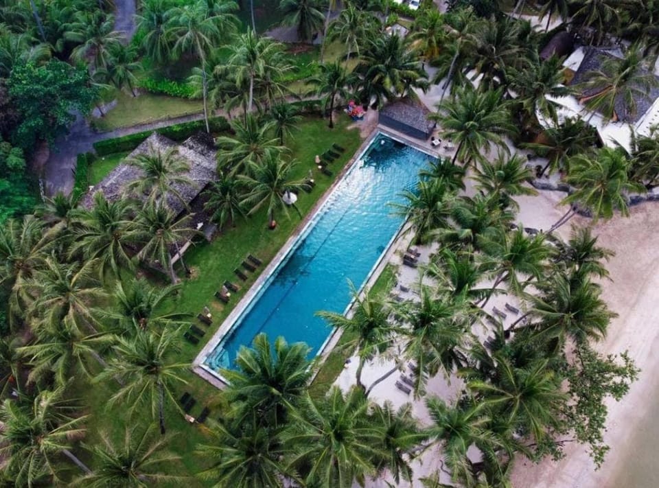 Day, Natural landscape, Bird's eye view, Garden, Garden view, Pool view, Swimming pool, Swimming pool, sunbed