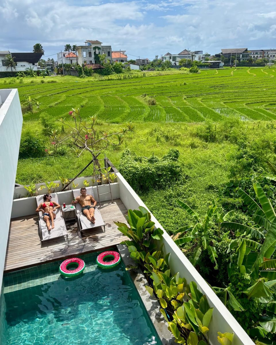 Patio, Spring, Day, Natural landscape, Garden, Garden view, Pool view, Swimming pool, sunbed