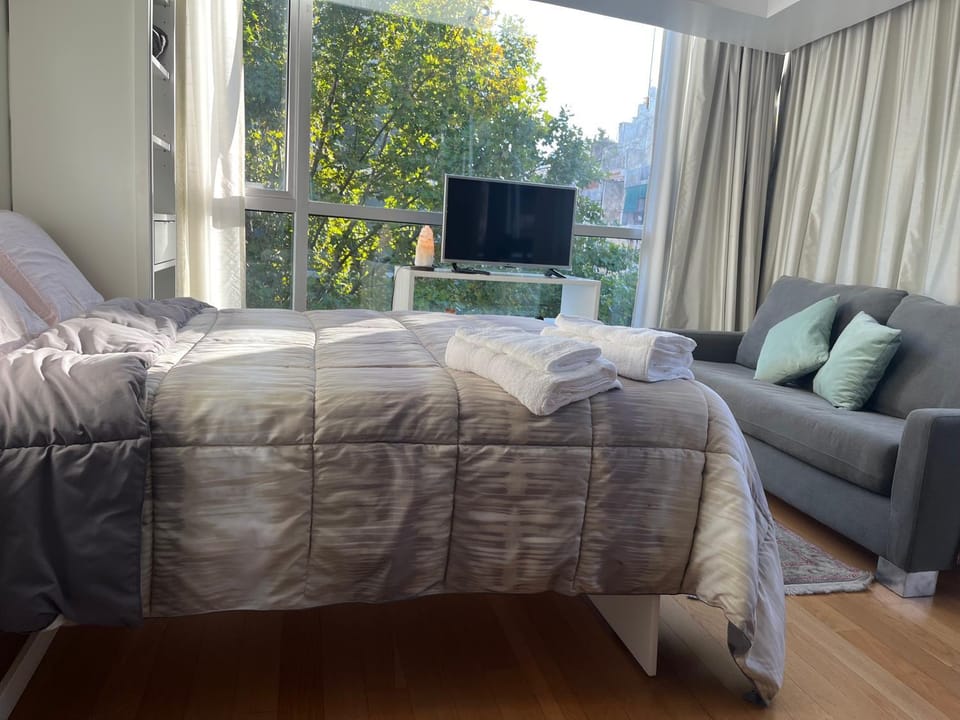 Monoambiente en Recoleta Apartment in Buenos Aires
