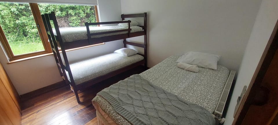 Bed, Photo of the whole room, Bedroom, bunk bed