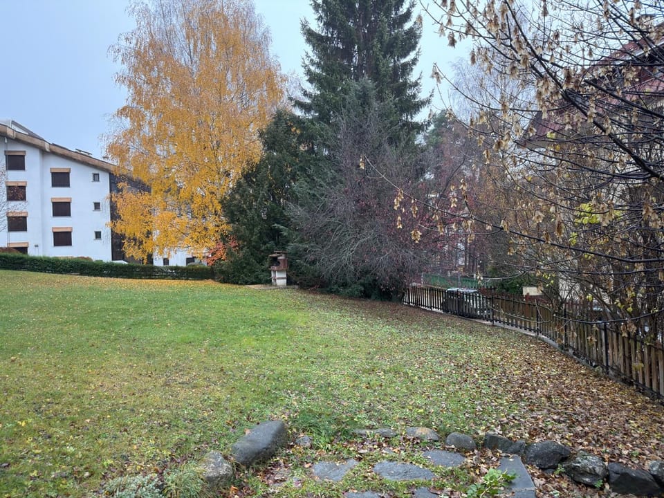Spring, Natural landscape, Garden, Garden view