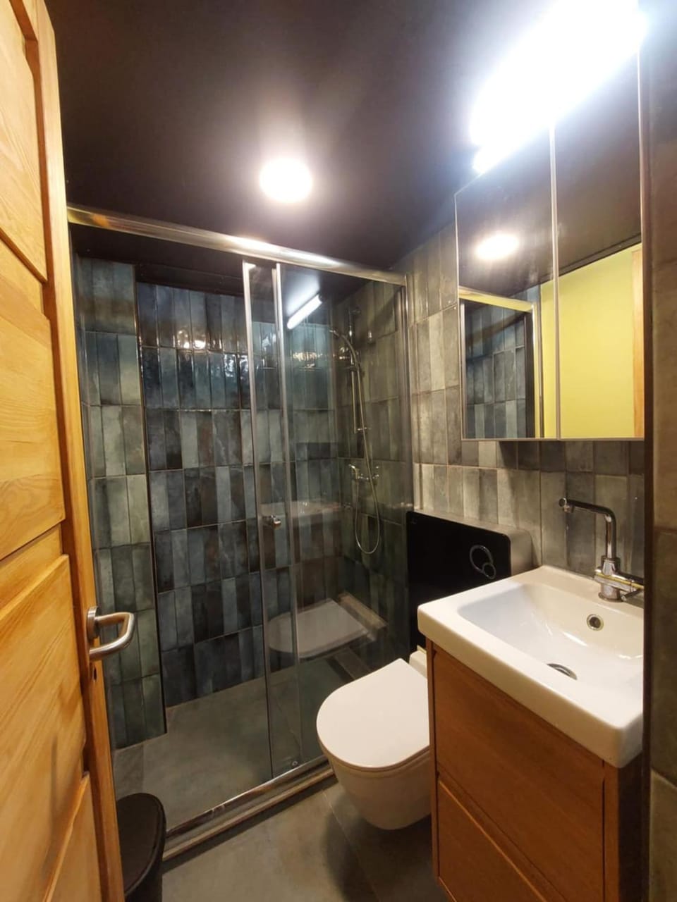 Shower, Toilet, Bathroom