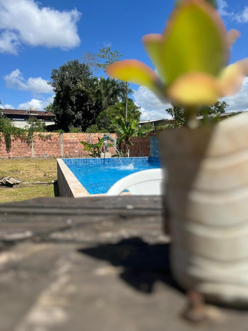 Garden, Swimming pool