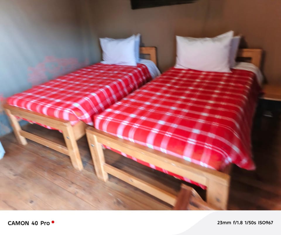 Majimoto Bushpig Camp Inn in Kenya