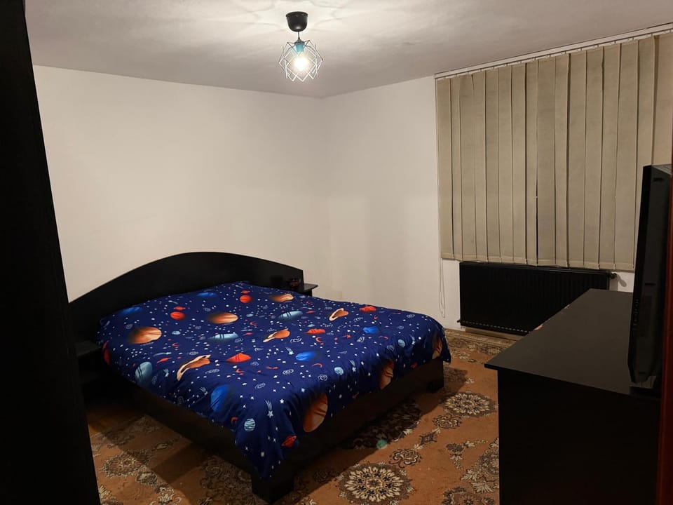 Christmas House Villa in Craiova