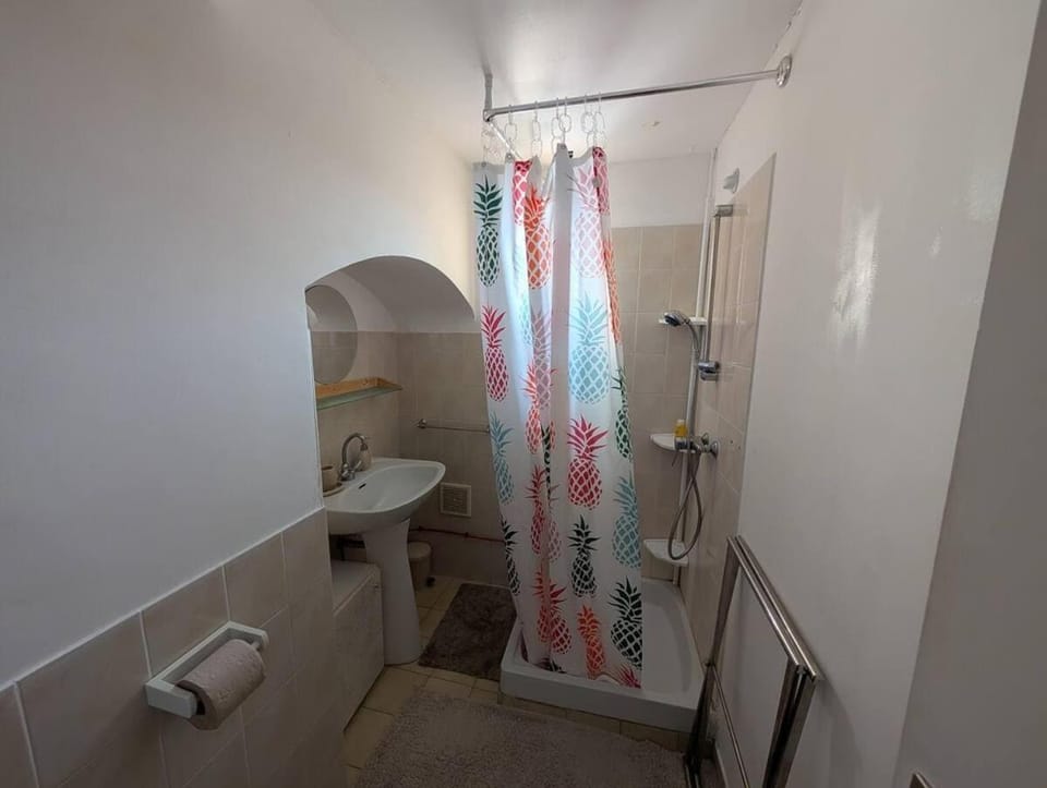 Charmant studio au centre de Gréoux-les-Bains Apartment in Gréoux-les-Bains