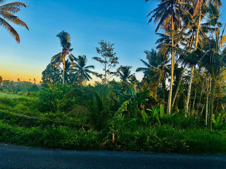 pondok ubud nia cahya Villa in Tampaksiring