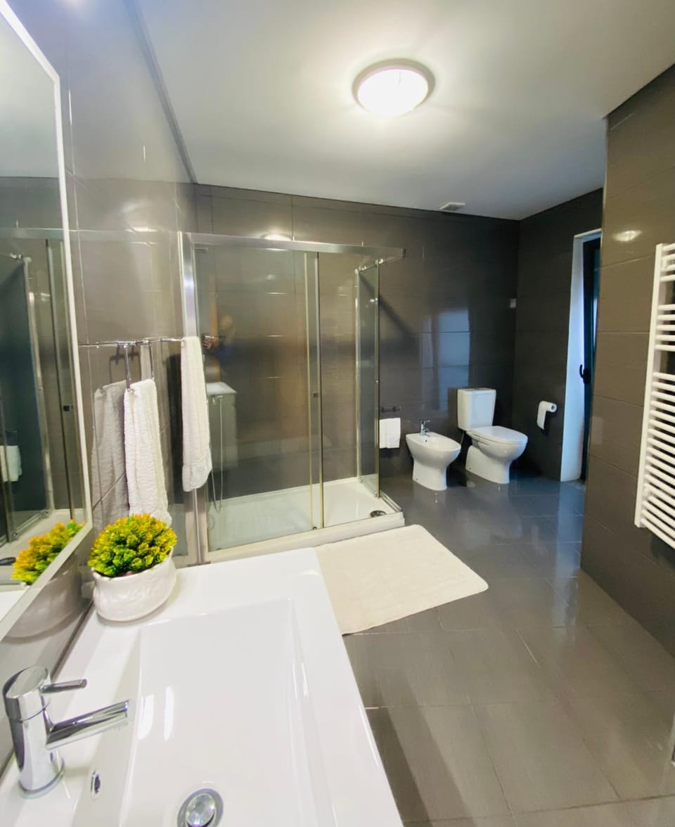 Shower, Toilet, Bathroom, bidet