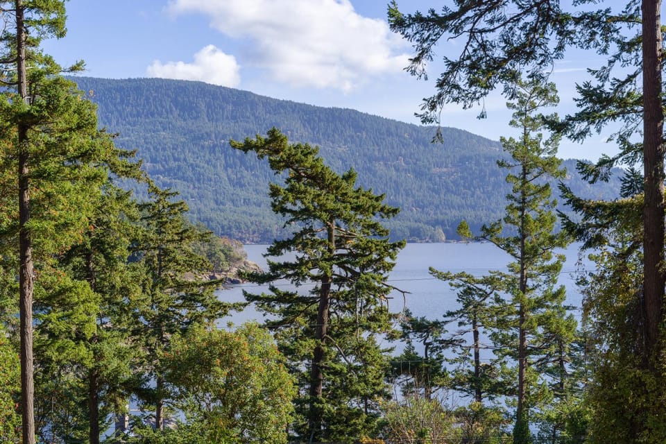 Natural landscape, Sea view