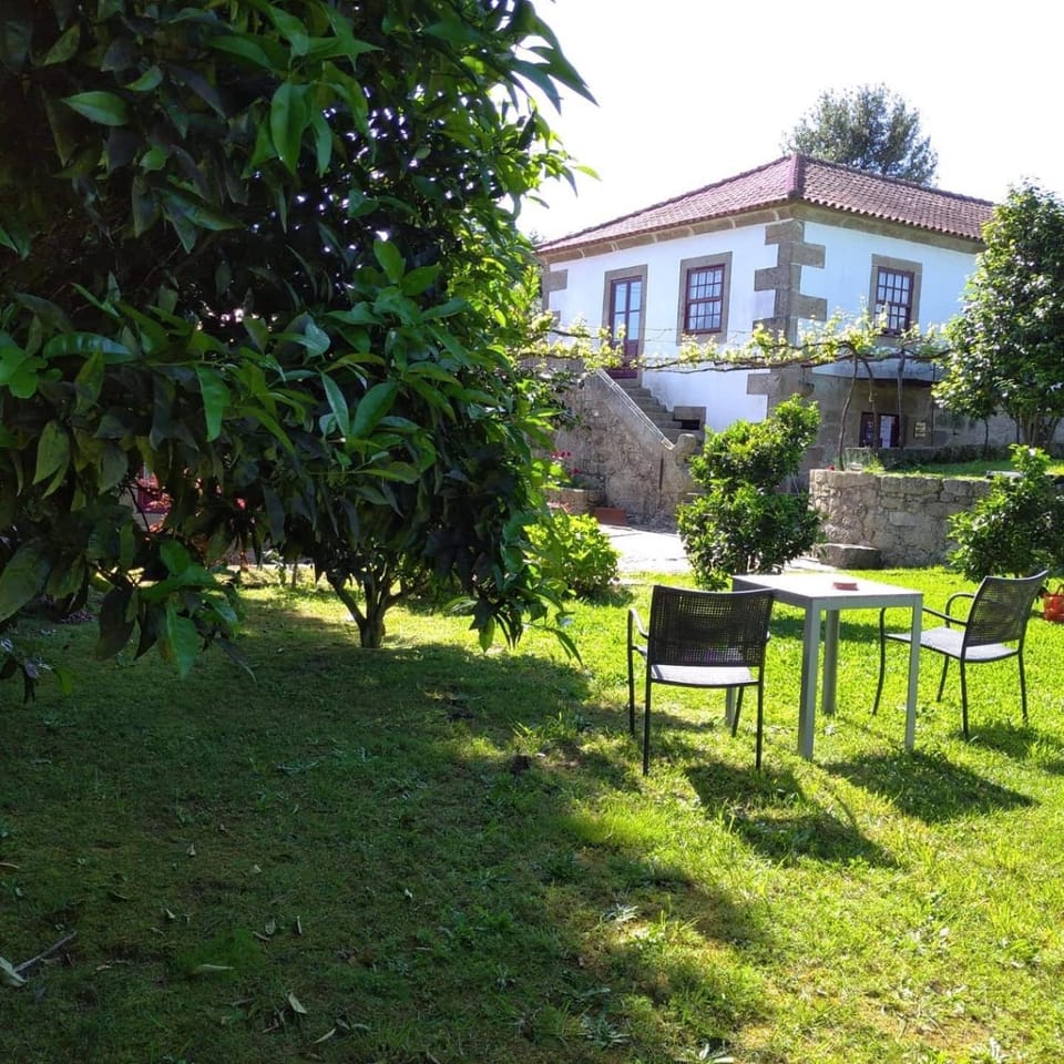 Natural landscape, Garden, Garden view