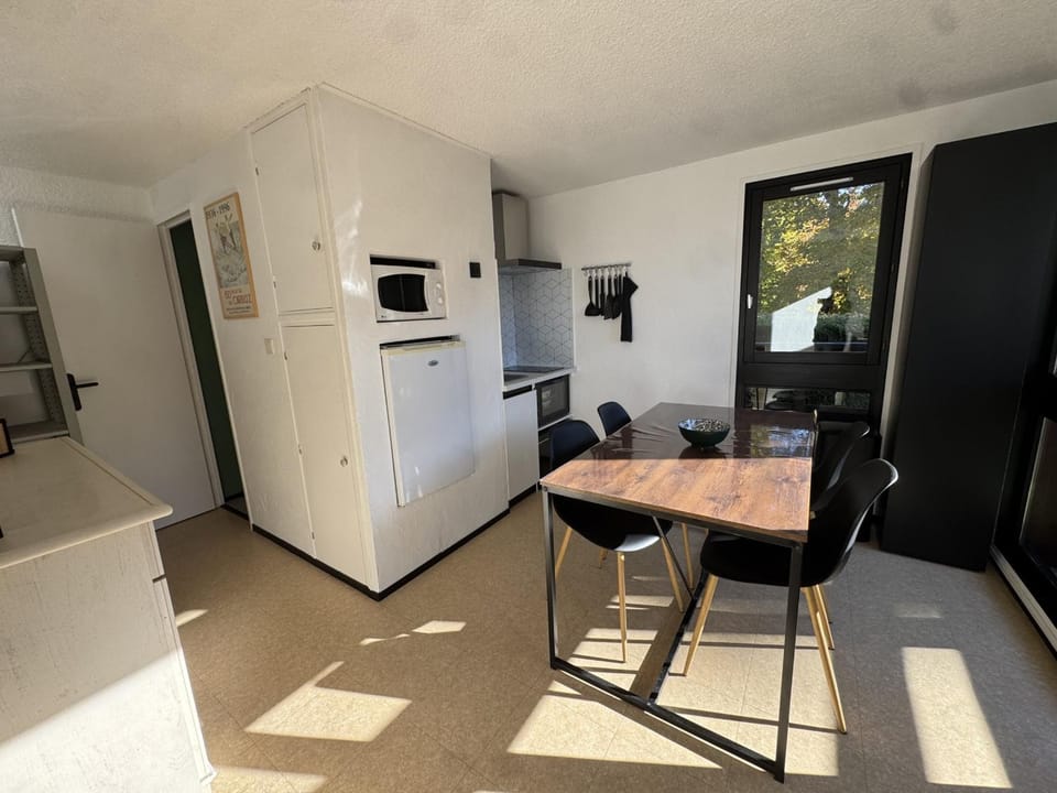 Studio 4 pers, cuisine équipée, parking privé, non-fumeur - FR-1-836-43 Apartment in Arâches-la-Frasse