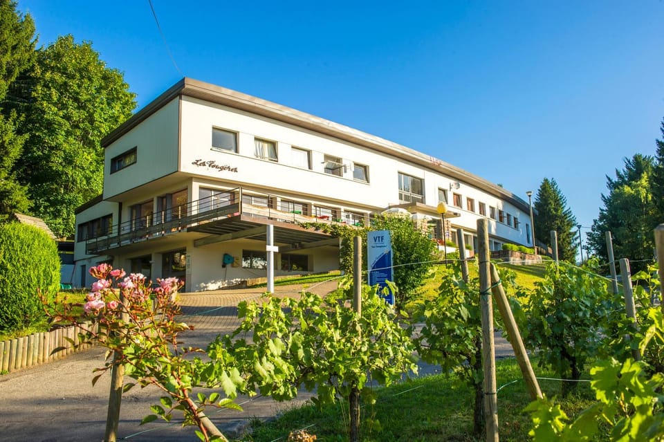 Property building, Facade/entrance, Summer, Garden view
