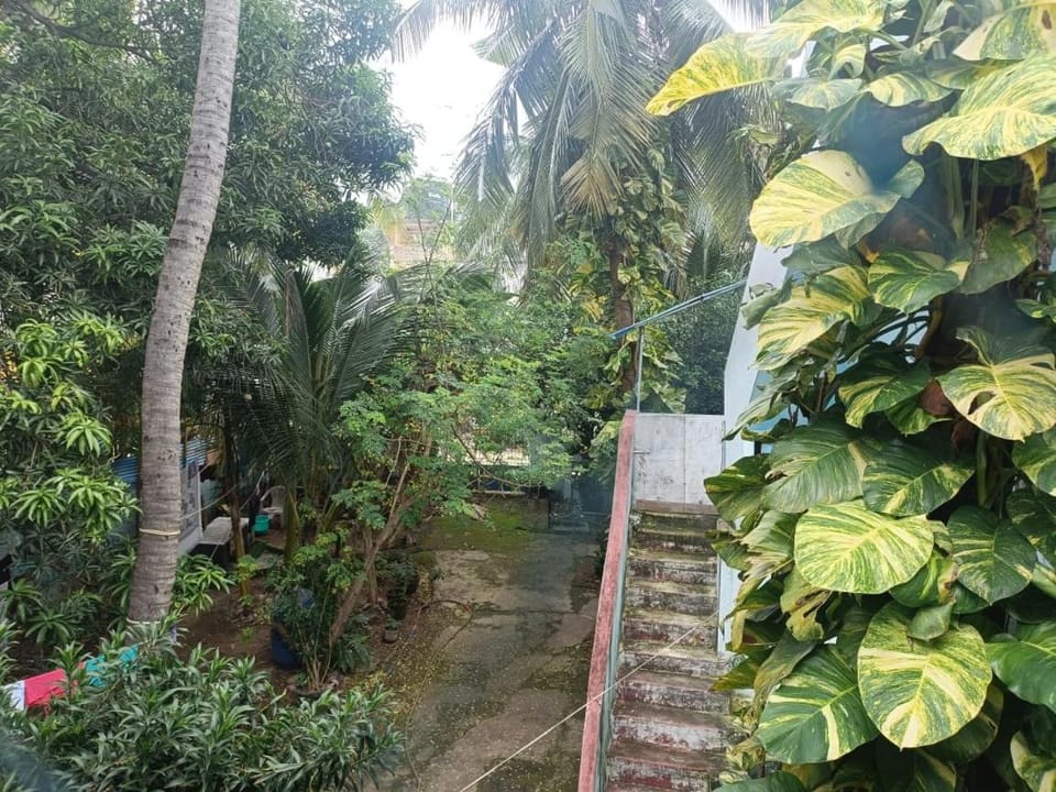 Green Woods Beach Resort Bed and Breakfast in Tamil Nadu