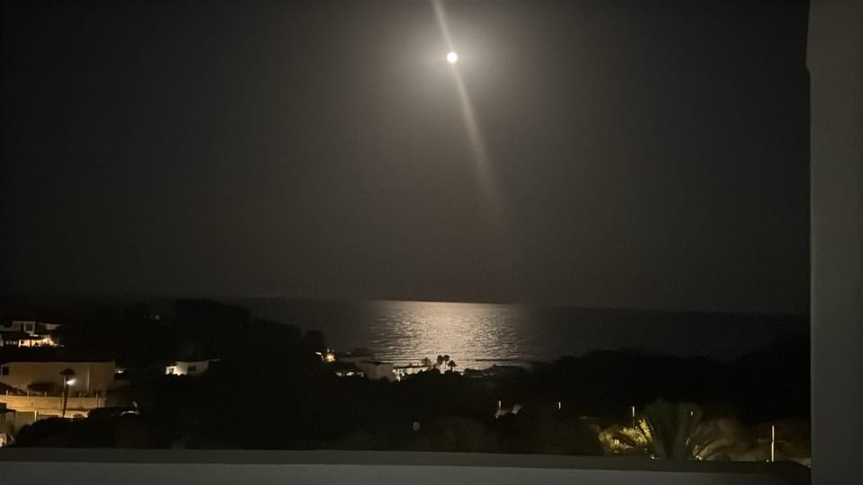 Night
