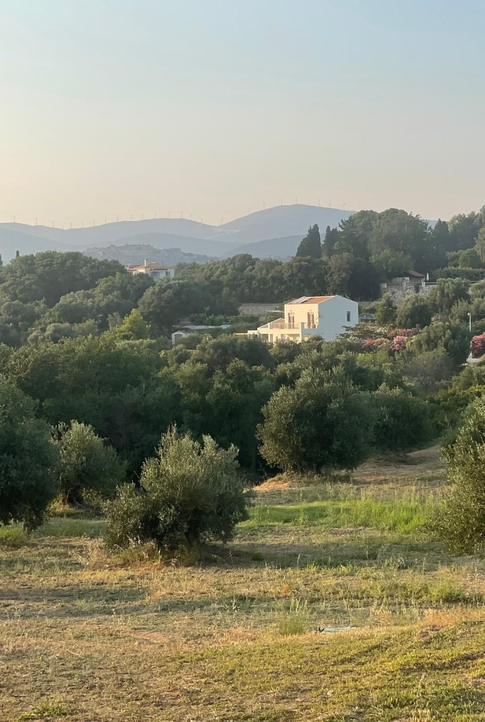 Natural landscape