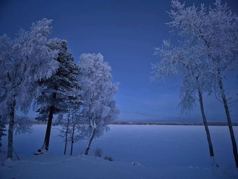 Property building, Natural landscape, Winter, Garden view, Lake view, Inner courtyard view