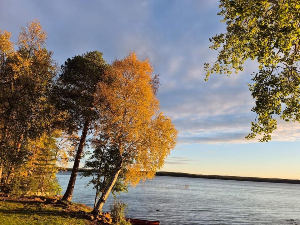 Day, Natural landscape, Autumn, Garden view, Lake view, Inner courtyard view