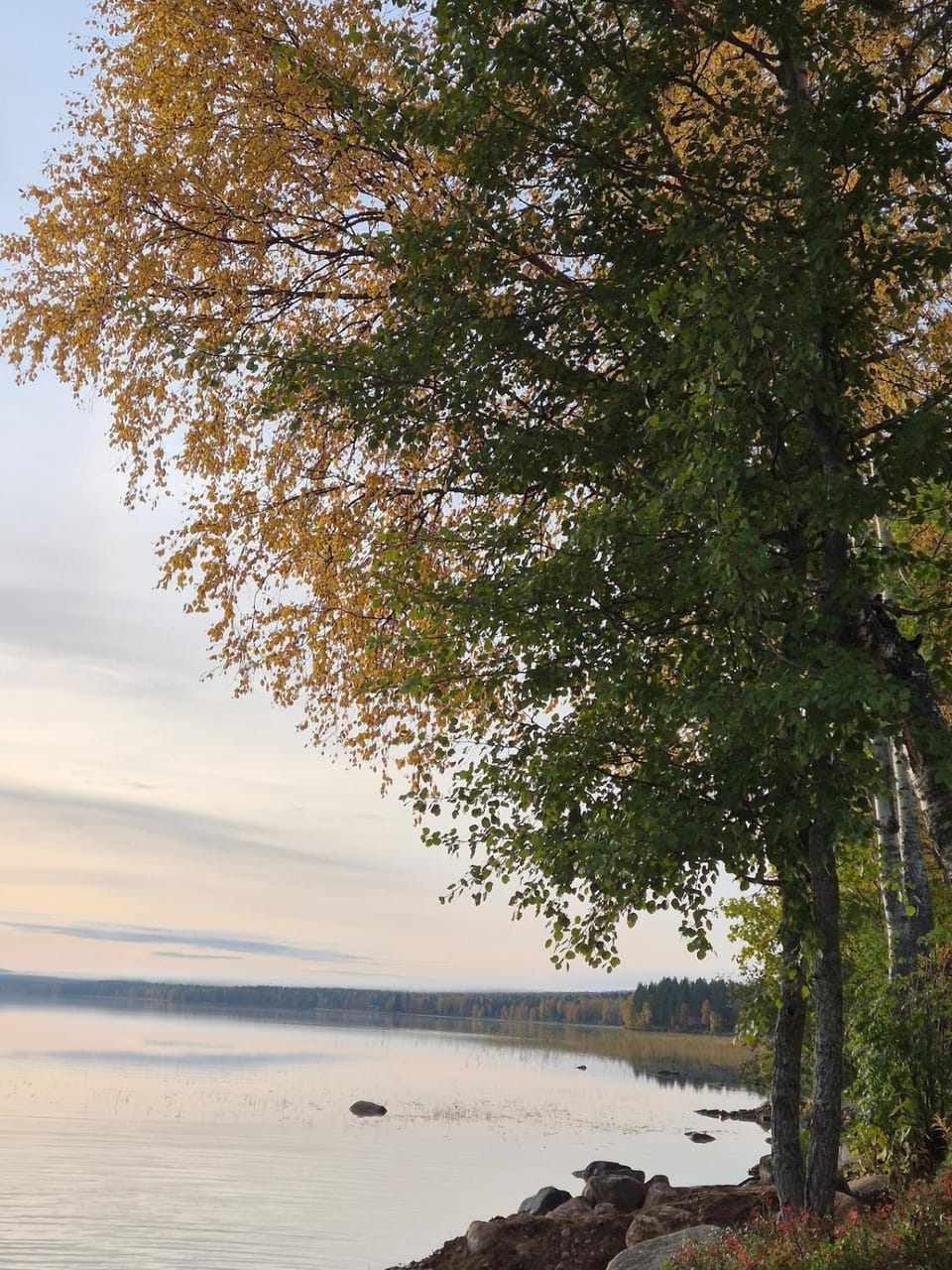 Day, Natural landscape, Autumn, Lake view