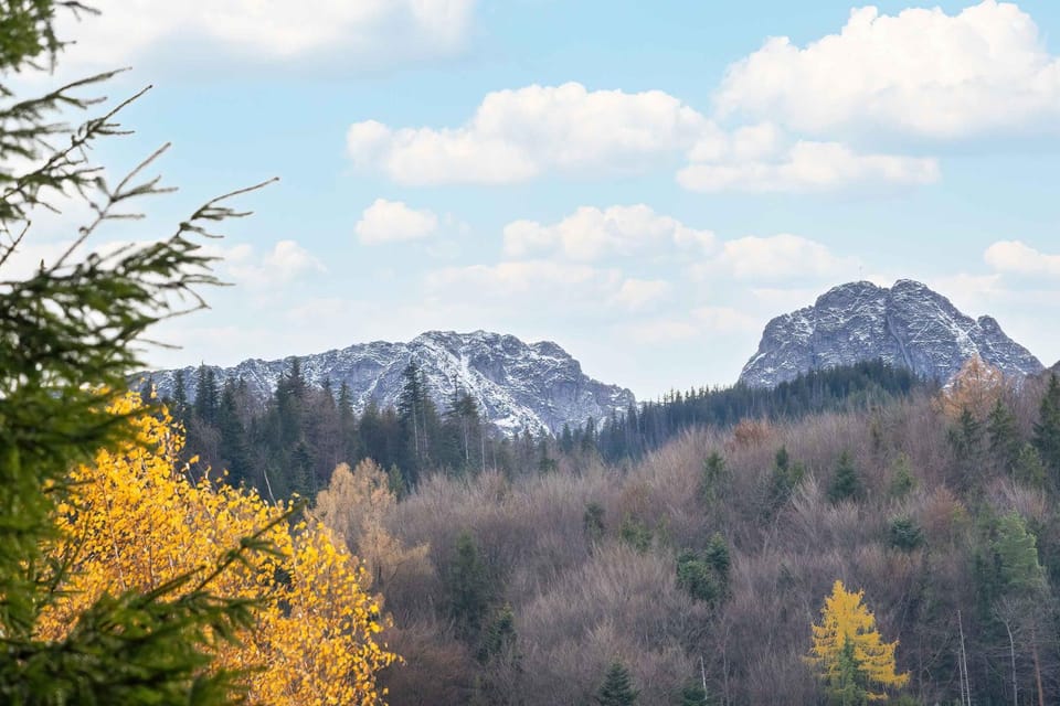 Mountain view