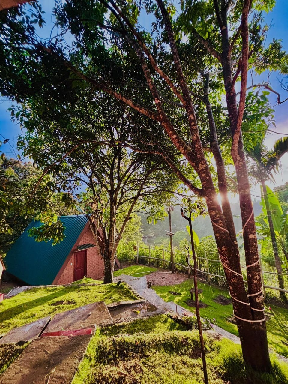 Green Forest Cabanas - Ella Hotel in Uva Province, Sri Lanka