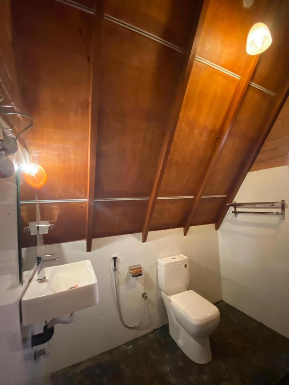 Toilet, Bathroom, bidet